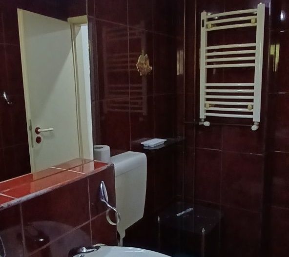 Aradului | 1 Camera | Etaj 1 | Bloc Izolat - Poză 7