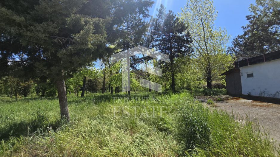 🏖 Teren de vanzare in Neptun – O oportunitate rara de investitie. - Poză 11