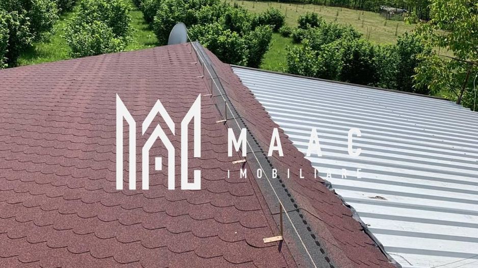 Teren extravilan 61.000 mp | Veseud, Sibiu | plantație aluni, trufe - Poză 2