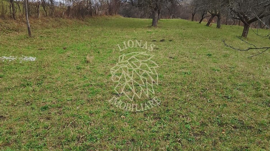 Teren 3966 mp-2 deschideri-curent-investitie-Budacu de Jos - Poză 5