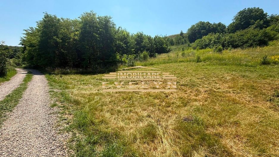 Teren intravilan 3.667 mp de vânzare – Str. Cismea, Botoșani - Poză 2