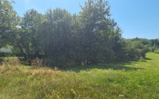 EXCLUSIVITATE! Teren la șoseaua principală | Tocile - Poză 6