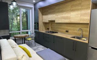 Chirie, apartament, 1 cameră, str. Nicolae Dimo, Râșcani - Poză 1