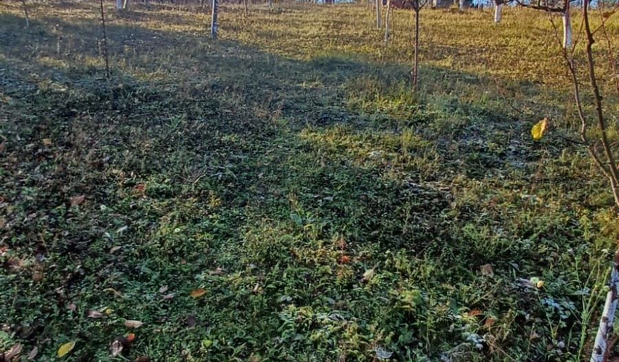 Teren intravilan 3000 mp - Corunca - Poză 8