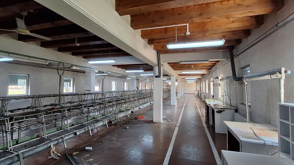 HALE de inchiriat - productie/depozitare/birouri - Poză 16