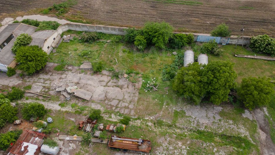 Vânzare,teren pentru construcție,1,18 ha, satul Maximovca, Anenii Noi - Poză 9