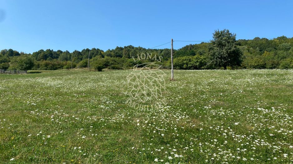 Teren 11.000 mp-ideal cabana/ferma-Unirea-Valea Slatinitei - Poză 1