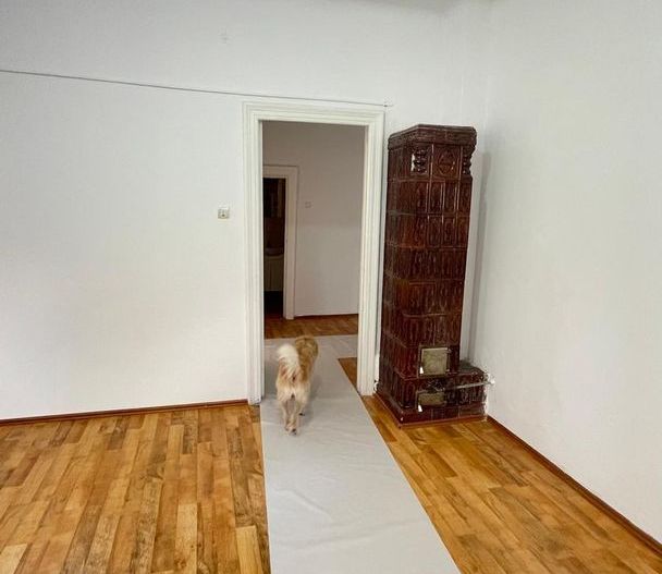 APARTAMENT IN VILA PARCARE ZONA UNIRIII - Poză 2