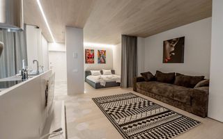 Chirie, apartament 1 cameră, strada Alexandru Bernardazzi, Centru - Poză 2