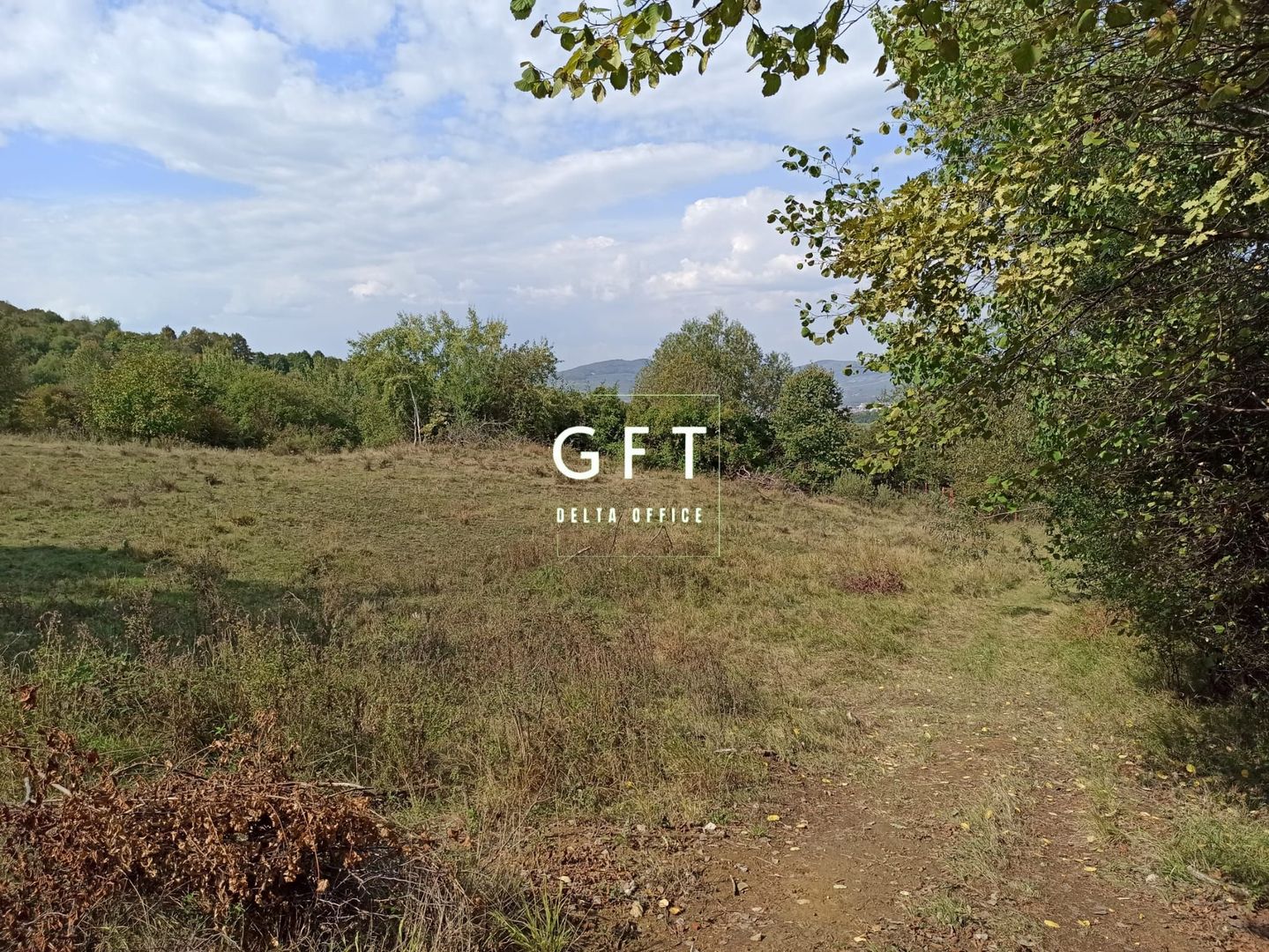 Teren  42,200 mp (4,22 hectare)-Parcelabil-investitie-Valea Jelnei - Poză 5