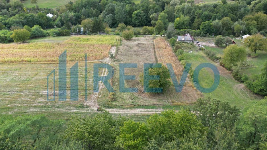 Teren intravilan lângă pădure, Racova - Poză 3