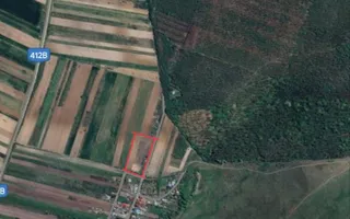 Teren de 11.000 mp cu casă și teren agricol | La 40 km de București | - Poză 13