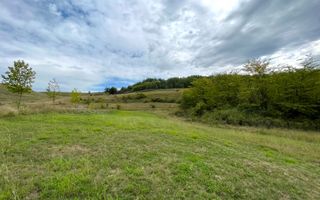 Teren de vanzare in Ciugud, 4200MP, Priveliste, Padure - Poză 2