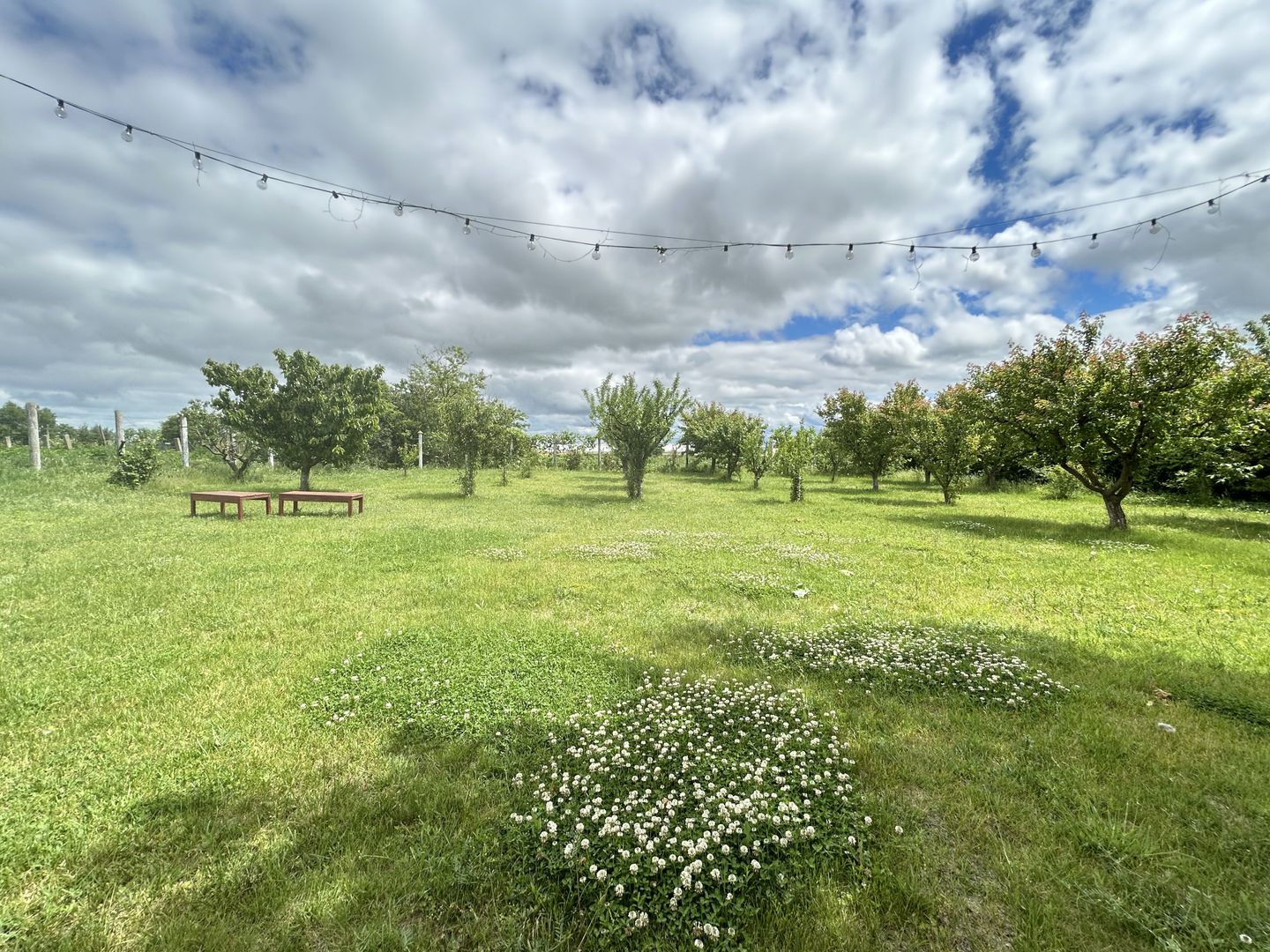 Casa P+M ideala pentru 2 familii – aproape de Techirghiol/Eforie - Poză 5