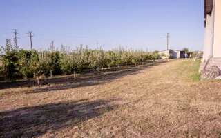 Casă de vânzare Furceni – 7 camere, teren 8.000 m - Poză 17
