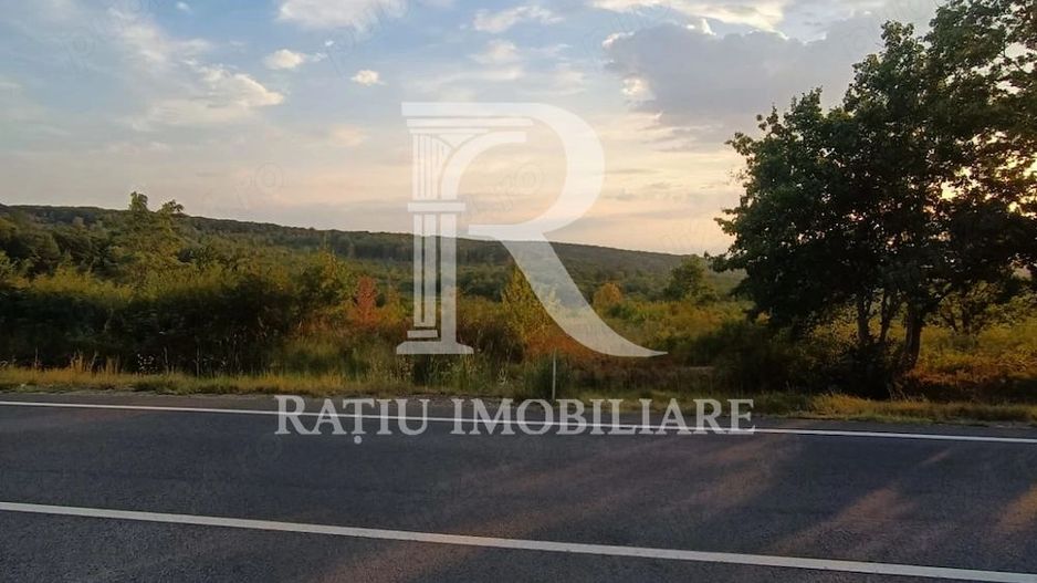 Teren de vanzare | Hidiselul de Sus | Bihor - Poză 2