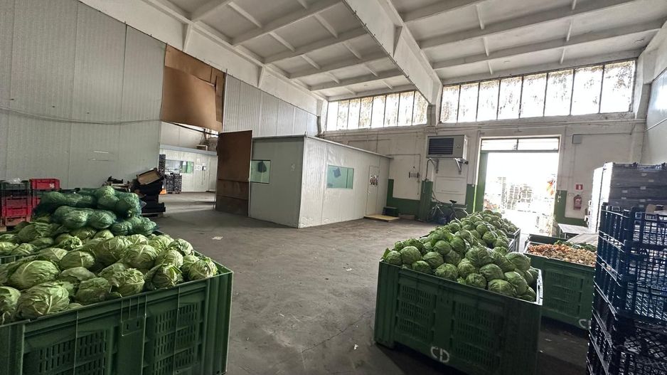 Hala de inchiriat Grădiște/Sere, Arad-761 mp - Poză 2