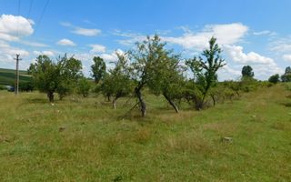 Teren 3860 mp lângă salba de lacuri a Acumulării Piscicole Mărtinești - Poză 10