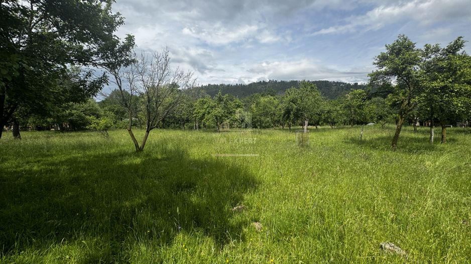 TEREN INTRAVILAN 4600 MP, VOINESTI, LERESTI, ARGEȘ - Poză 15