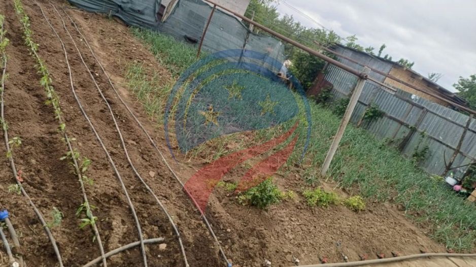 Casa cu teren generos/de vanzare/com Leu, Dolj - Poză 22