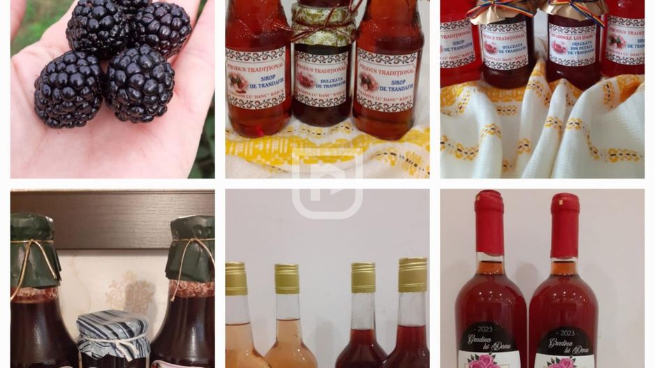 Ferma agricola, plantatii de mure, trandafiri, vita-de-vie - Poză 16