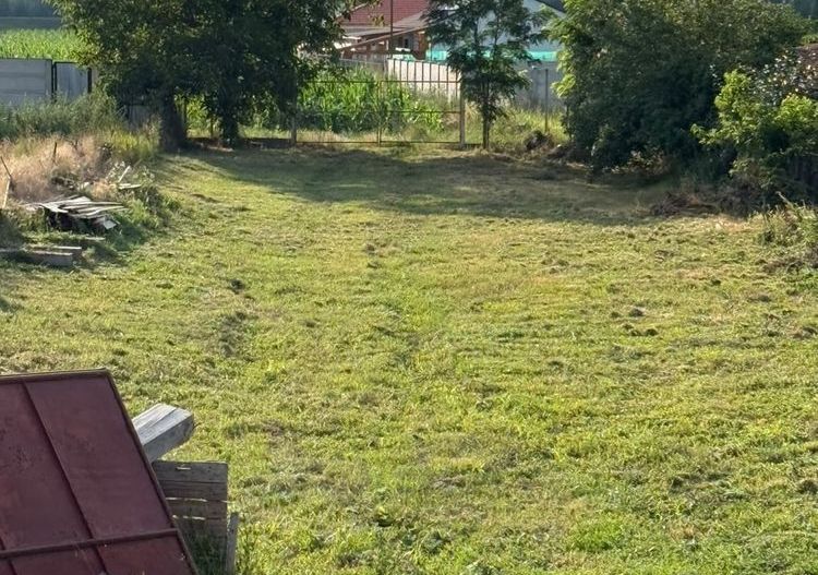 CASĂ INDIVIDUALĂ PREMIUM ÎN CIUGUD - Poză 3