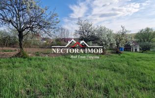 NECTORA IMOB-Casa 70 mp cu teren 951 mp, front 16 mp, Paleu Centru