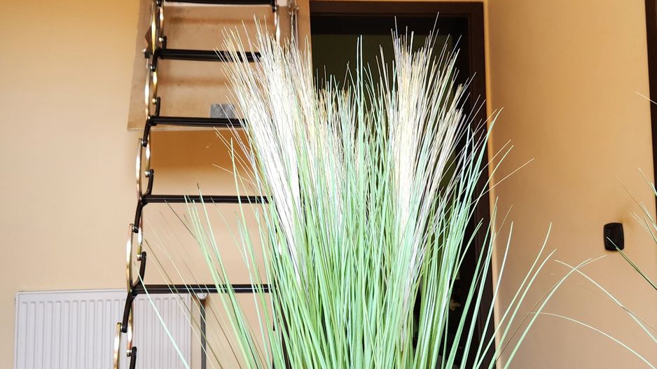 VILA SAG -Comision 0% - Poză 46