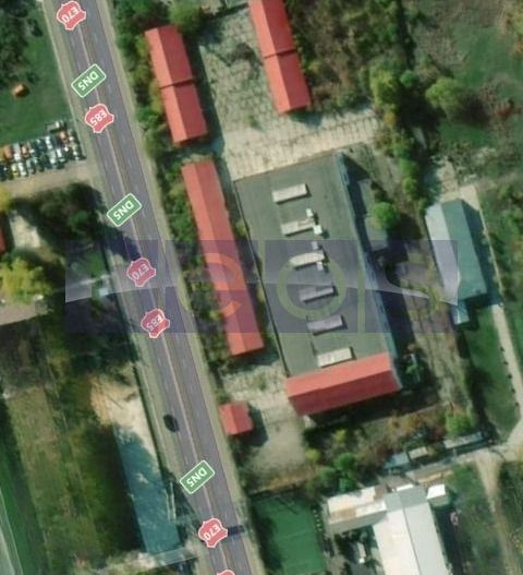 INCHIRIERE SPATIU INDUSTRIAL | 5000 MP | DN5 | GIURGIU - Poză 4