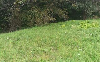 TEREN INTRAVILAN 3698 MP, CAMPULUNG, ARGES - Poză 6