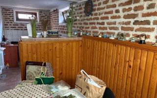 Casă individuală + demisol+ curte 450 mp - Calea Poplacii, Sibiu - Poză 8