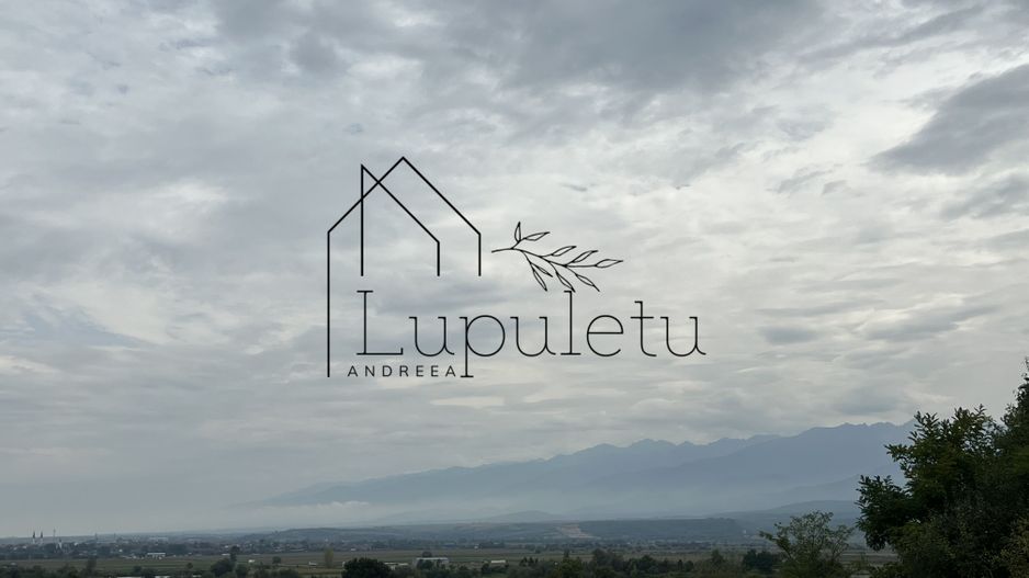 Teren | 1.500 MPU | Bradu - Poză 4