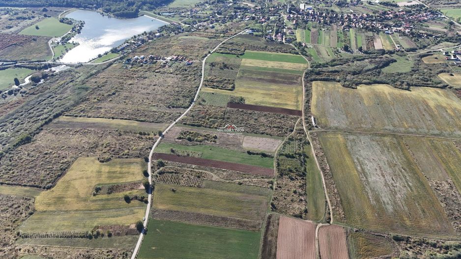 NECTORA IMOB-Teren Saldabagiu de Munte, aproape de Lac Paleu, 2880mp - Poză 9