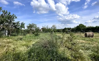 Casa cu anexe si pivniță | Teren intravilan generos | Sannicolau Roman - Poză 26