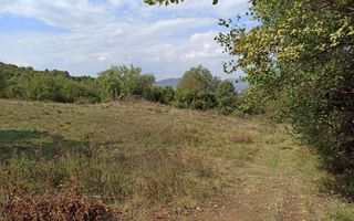 Teren  42,200 mp (4,22 hectare)-Parcelabil-investitie-Valea Jelnei - Poză 5