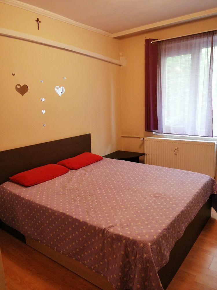 De închiriat 2 camere, pet friendly, mobilat, metrou 1 Decembrie - Poză 3