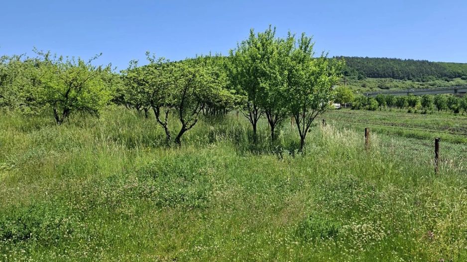 Teren de vanzare in Valcele - Poză 1