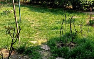 Apartament 2 camere cu gradina și garaj Băneasa - Poză 9