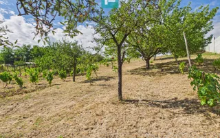 Casă din lemn în Uileacu de Munte – teren 2140 mp - Poză 28