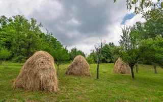 Casa moderna si casa bunicii + 6300 mp teren,Oaza autentica in Corbi Arges- - Poză 18