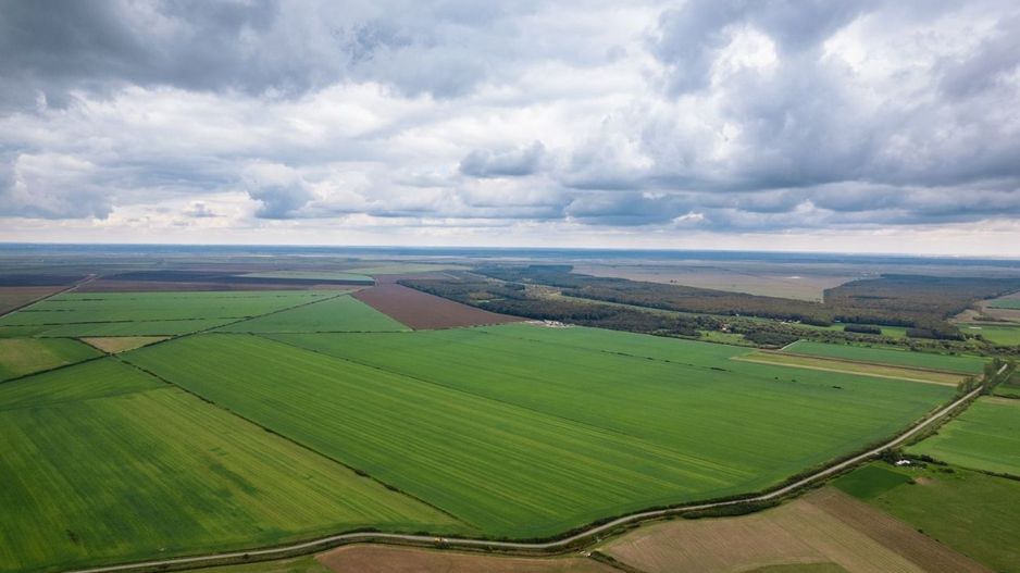 Teren extravilan în Sânnicolau Mare 14.6 ha - Poză 2