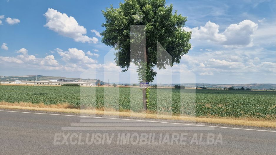 Teren agricol la sosea, pretabil si ptr constructii industriale - Poză 4