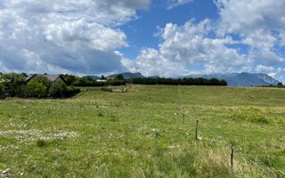 INVESTIȚIE | Teren 5000 mp PUZ APROBAT intravilan - zona Sohodol -Bran - Poză 10