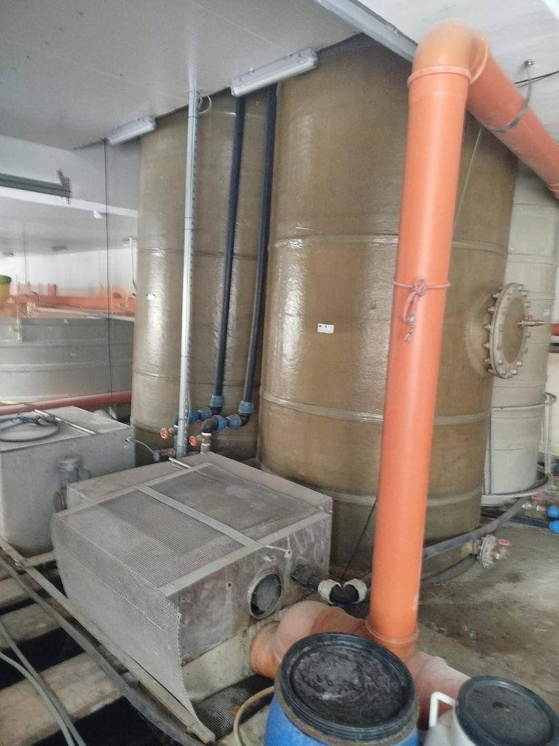 Pensiune + fermă piscicolă (sturion/caviar) | Saru Dornei/Sarisor - Poză 29