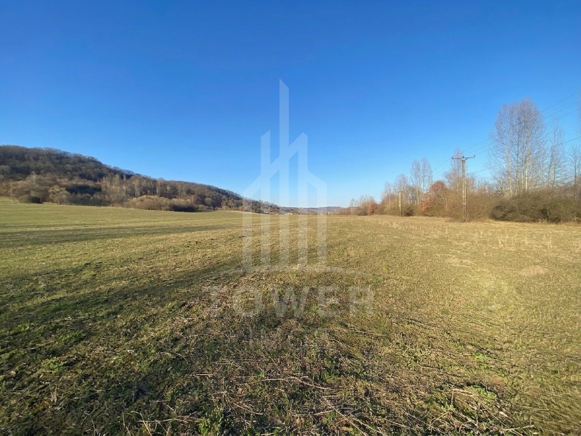 Teren de 7.500 mp de vânzare în Bradu, Avrig-COMISION 0% – lângă râul Olt. - Poză 6