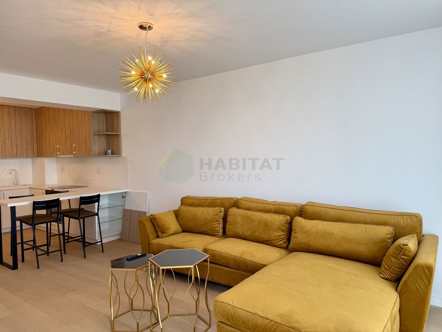 Herastrau Apartments Parc | Apartament 2 camere mobilat - Poză 13