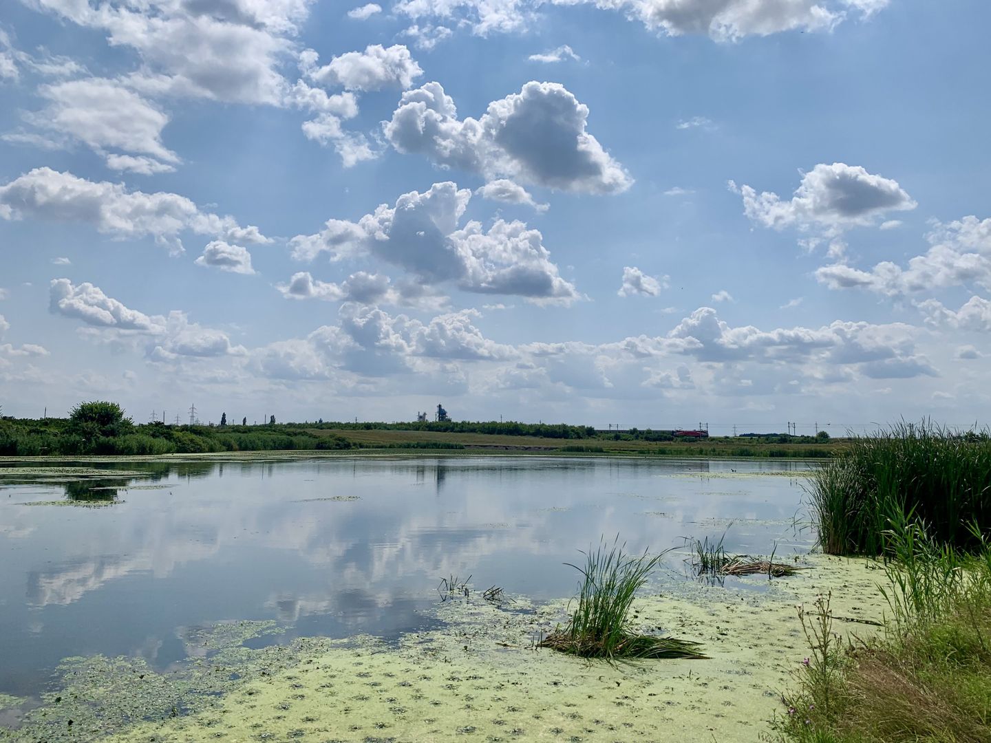 Teren Crevedia 62000 mp - Poză 2