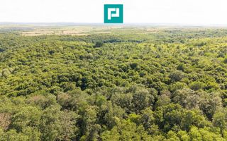 TEREN AGRICOL EXTRAVILAN  22.900 MP LIPOVA - Poză 19