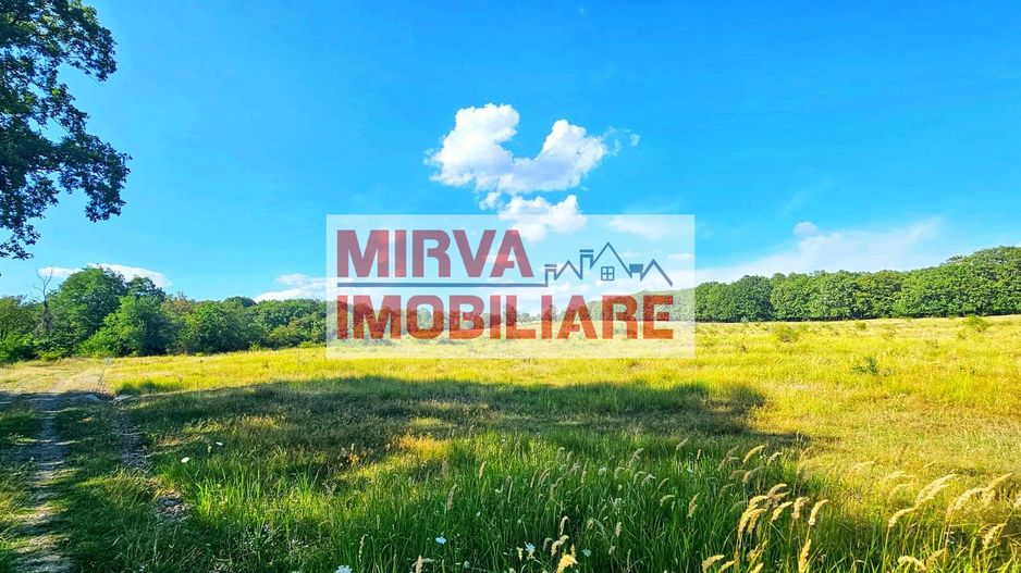 Teren intravilan construibil 3.500 mp Păcureți | UTR 6, P+2, POT 30% - Poză 5