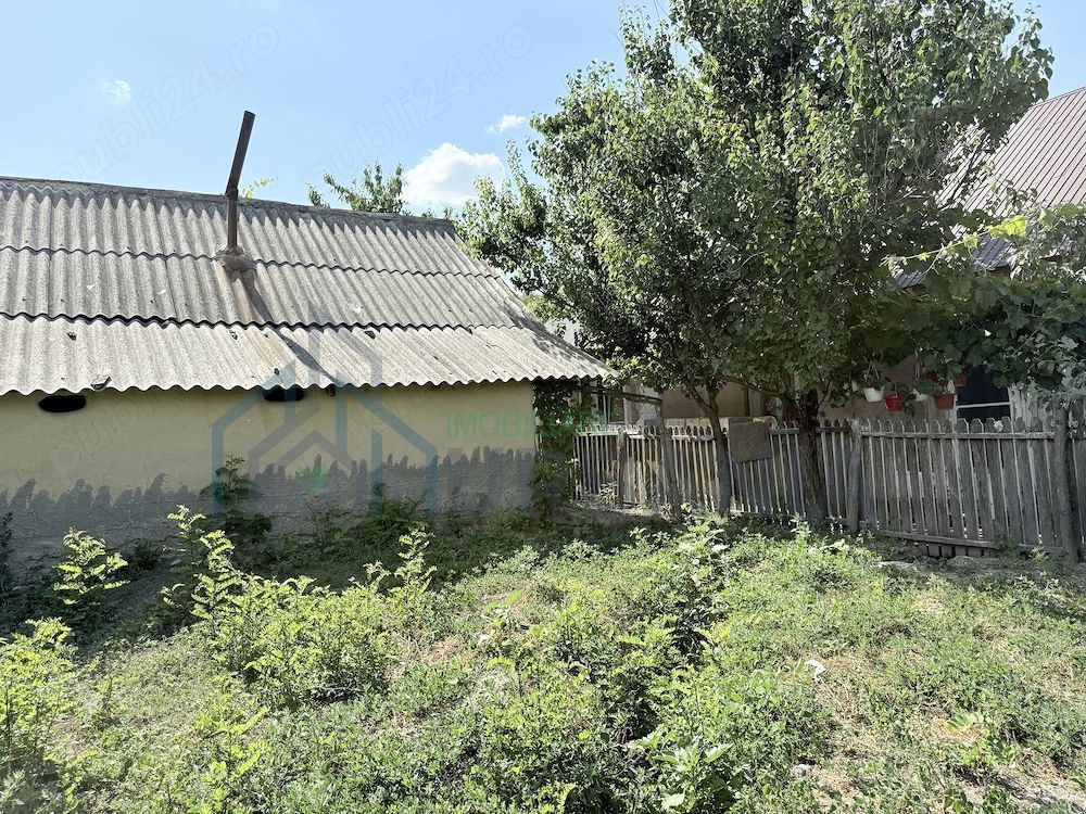 Casă + Teren 521 mp în Sat Bălteni, Comuna Probota, Județul Iași - Poză 8